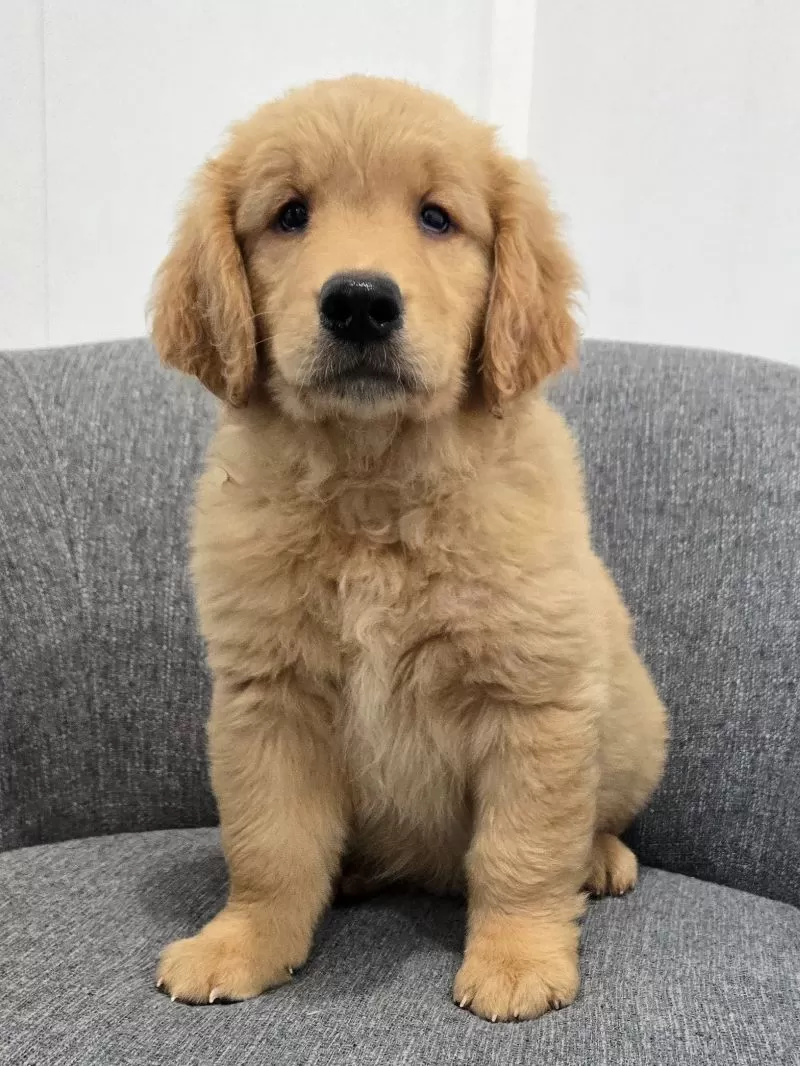 Charles