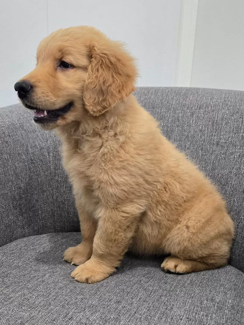 Charles