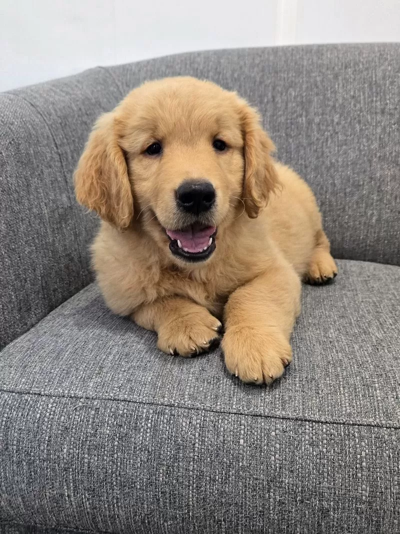 Charles