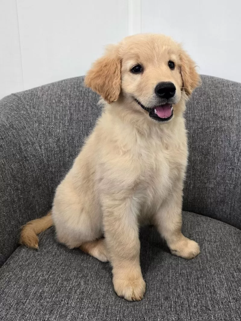 Chloe