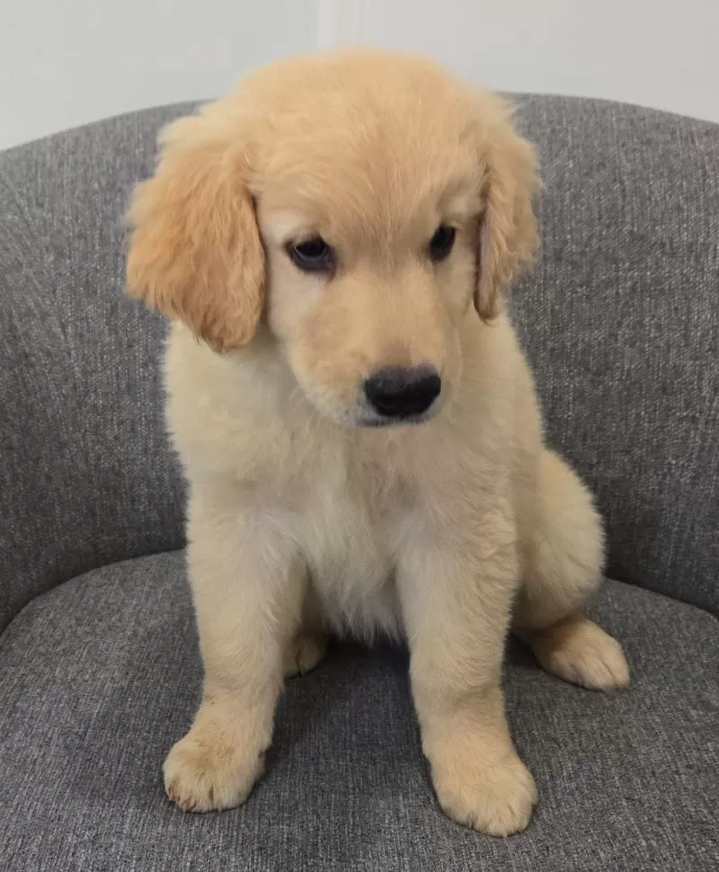 Chloe