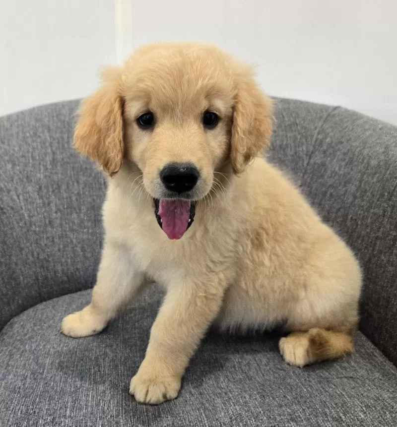 Chloe