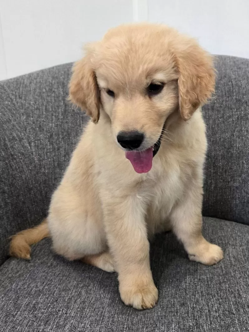 Chloe