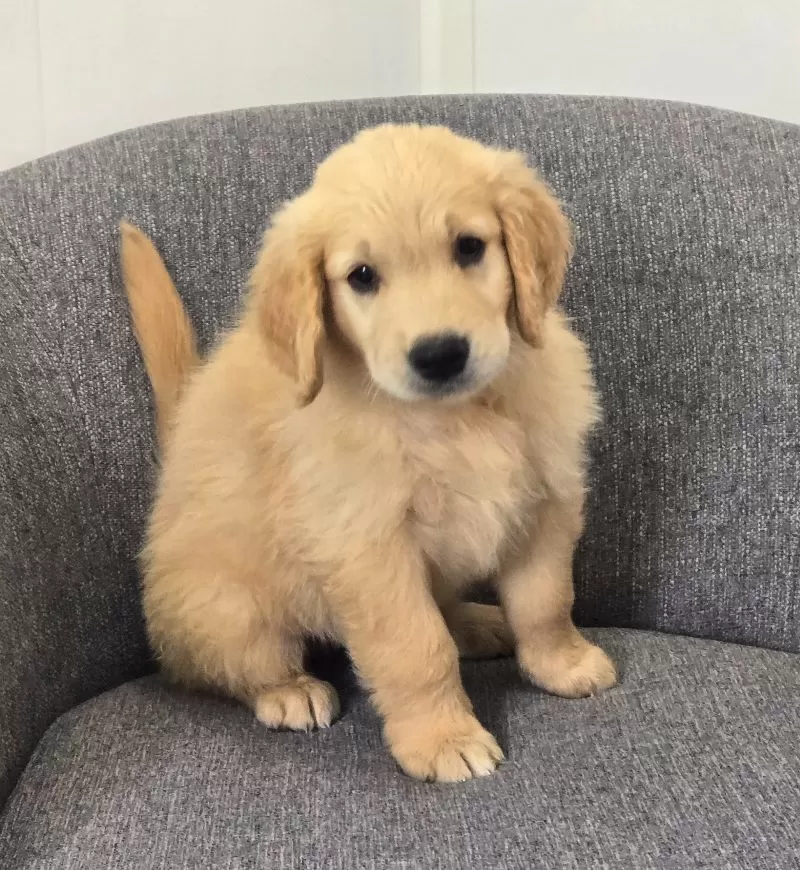 Riley
