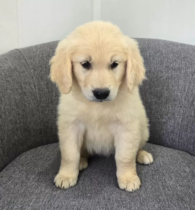 Bailey